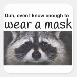 Raccoon Coroma Covid 19 munmask av Funntcomb Fyrkantigt Klistermärke