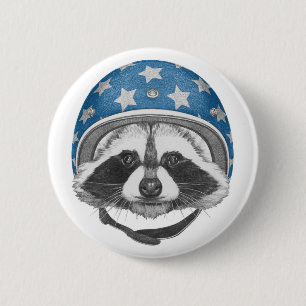 Raccoon Daredei Knapp
