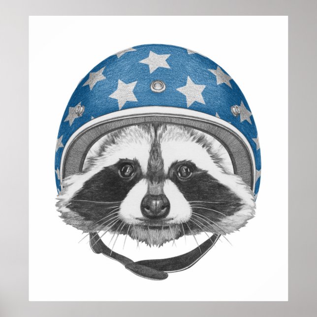Raccoon Daredjävjävel Poster (Framsidan)