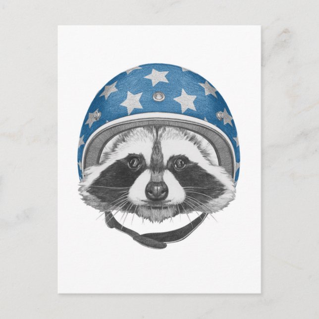 Raccoon Daredjävjävel Vykort (Framsida)