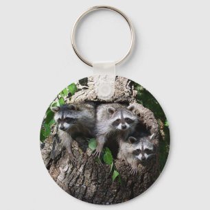Raccoon - de tre amigosna nyckelring