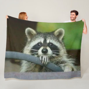 RACCOON DRIVING FLEECEFILT