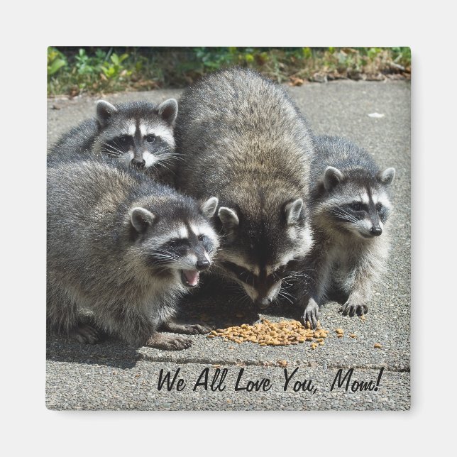 Raccoon Family Mamma Magnet (Framsidan)