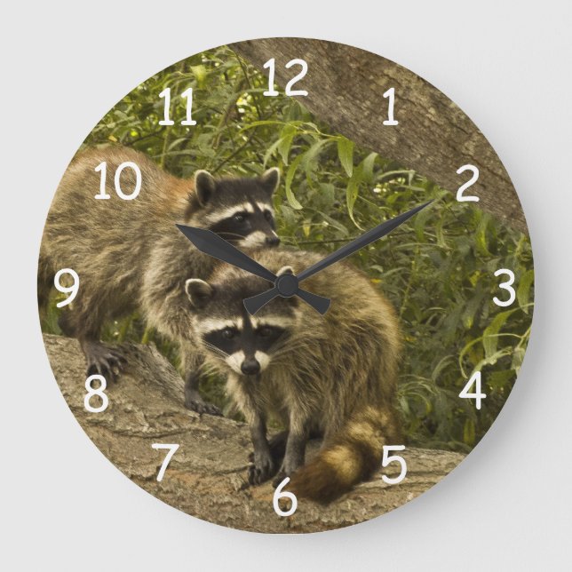 Raccoon Family Stor Klocka (Framsida)