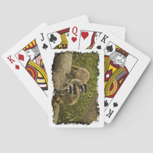Raccoon Family White Kant Spel Kort