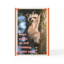 Raccoon får bra kort.