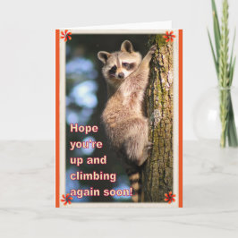 Raccoon får bra kort. kort