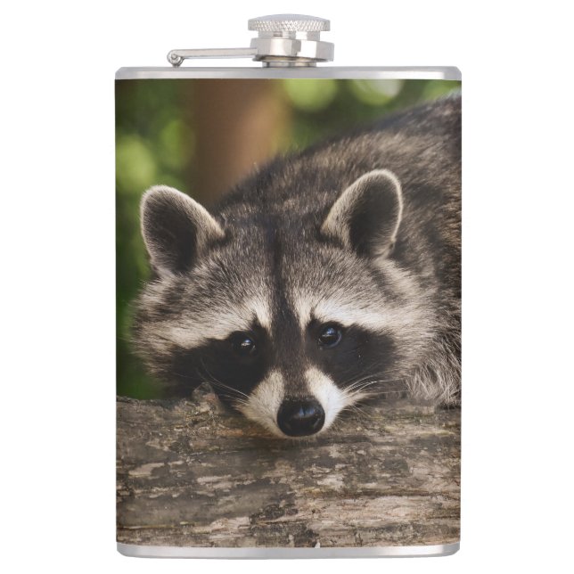 Raccoon Fickplunta (Framsidan)