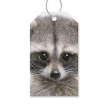 Raccoon Figur on Gift Märkre