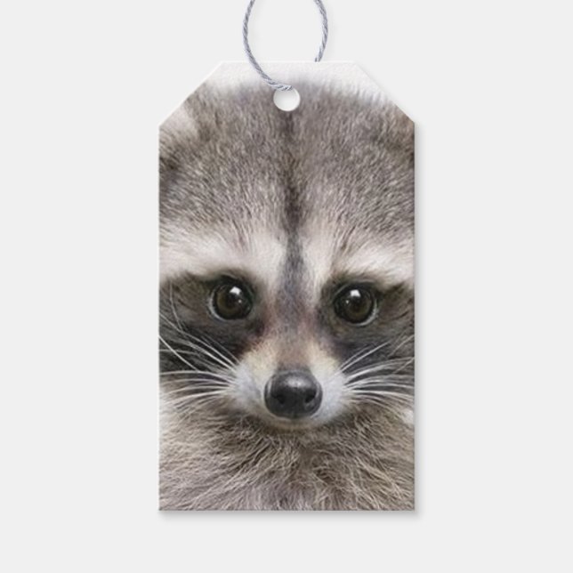 Raccoon Figur on Gift Märkre Presentetikett (Framsidan)