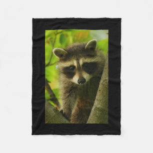 raccoon fleecefilt