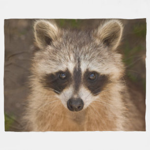 Raccoon Fleecefilt