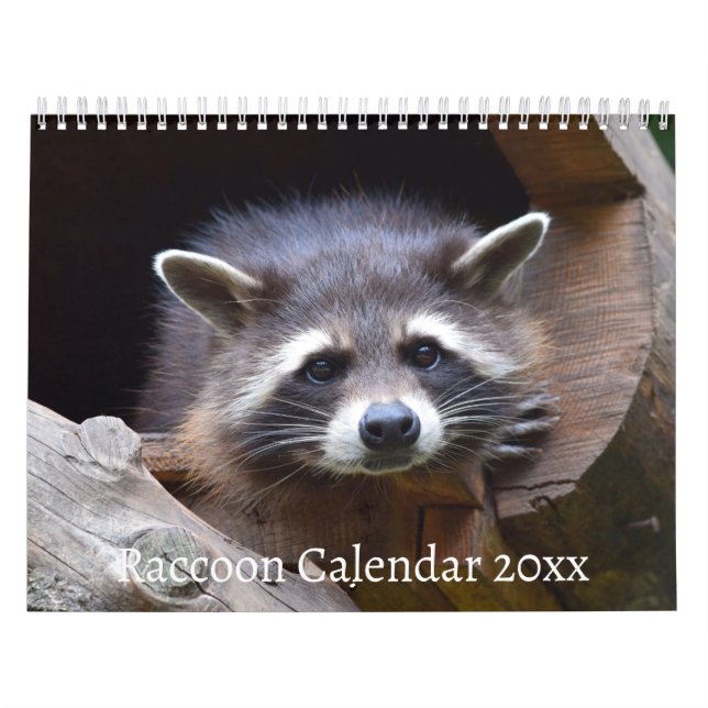 Raccoon Forest Animal Kalender (Omslag)