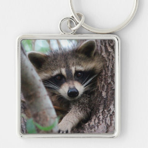 Raccoon Fyrkantig Silverfärgad Nyckelring