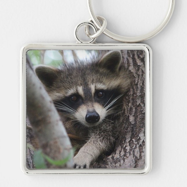 Raccoon Fyrkantig Silverfärgad Nyckelring (Framsidan)