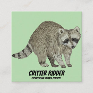 Raccoon Fyrkantigt Visitkort
