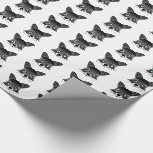 Raccoon - glansigt slående in papper, 30" x 15', presentpapper