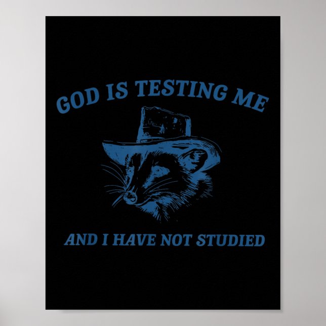 Raccoon God Is Testing Me And I Have Not Studied  Poster (Framsidan)