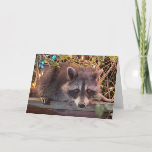 Raccoon Grattis på födelsedagen Card för alla Kort
