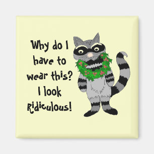 Raccoon Humor Magnet