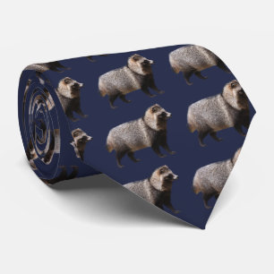 Raccoon hund slips