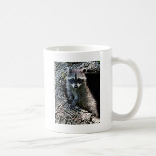 Raccoon i hålan kaffemugg