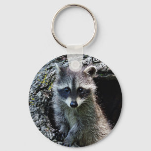Raccoon i hålan nyckelring