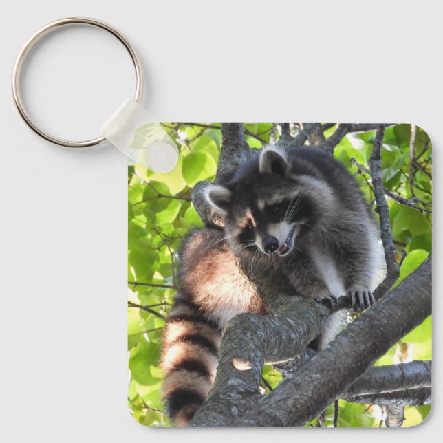 Raccoon i Träd Nyckelring (Framsida)