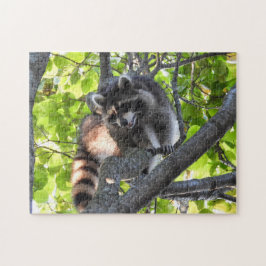 Raccoon i träd pussel