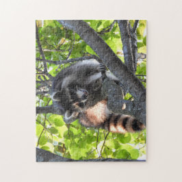 Raccoon i träd pussel