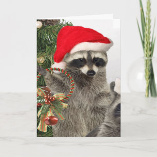 Raccoon jul Firande Helgkort