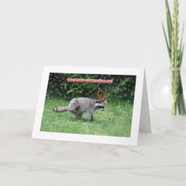 Raccoon-jul Helgkort