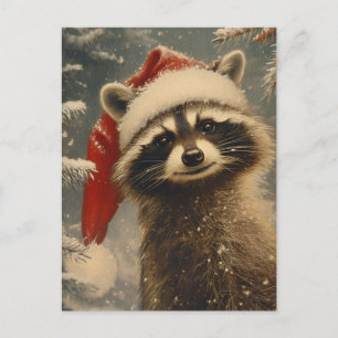 Raccoon-jul Vykort