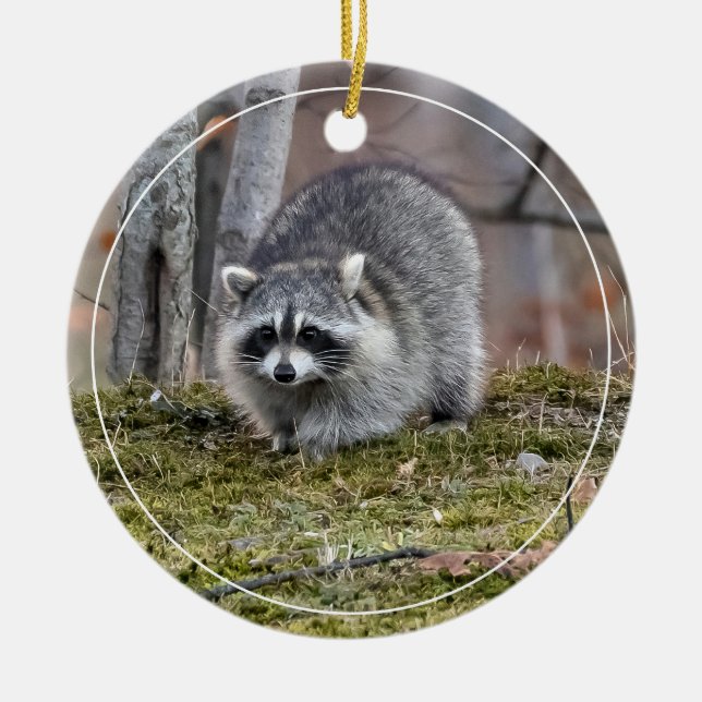 Raccoon Julgransprydnad Keramik (Framsidan)