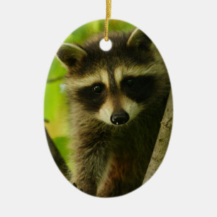 raccoon julgransprydnad keramik