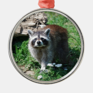 Raccoon Julgransprydnad Metall