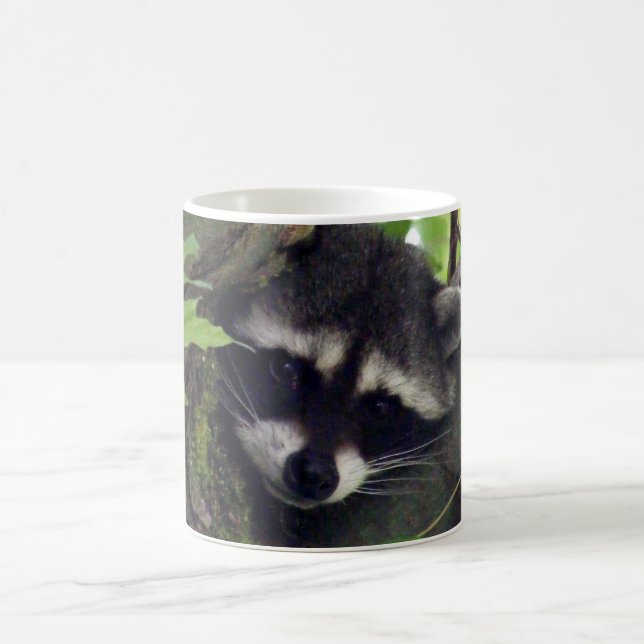 Raccoon Kaffemugg (Center)