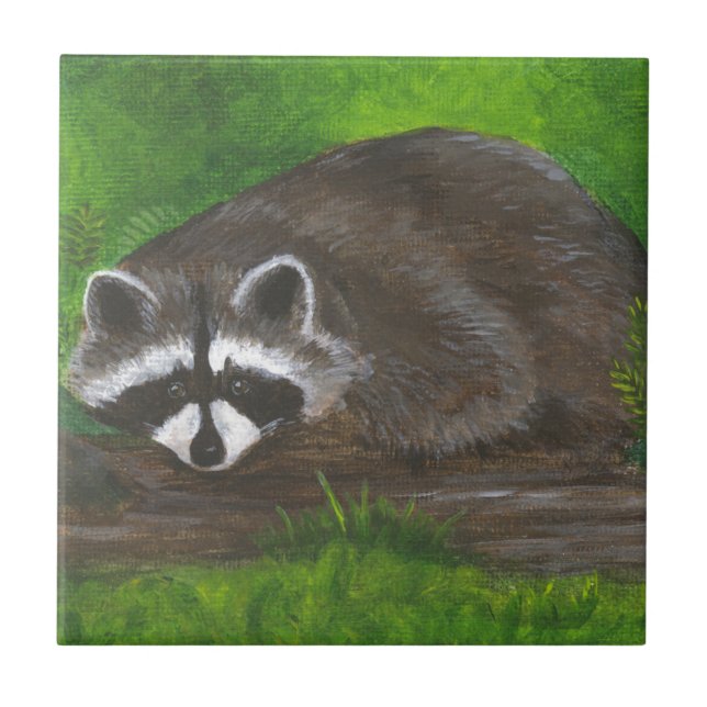 Raccoon Kakelplatta (Framsidan)