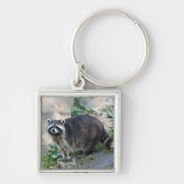 Raccoon Keychain Fyrkantig Silverfärgad Nyckelring (Framsidan)