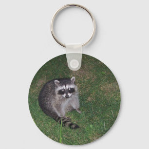 Raccoon Keychain Nyckelring