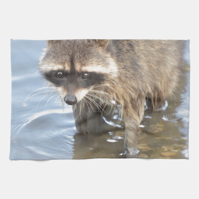 Raccoon Kökshandduk (Horisontell)