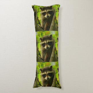 raccoon kroppskudde
