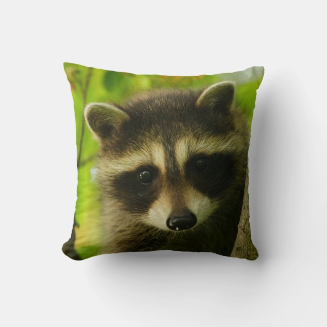 raccoon kudde (Framsida)