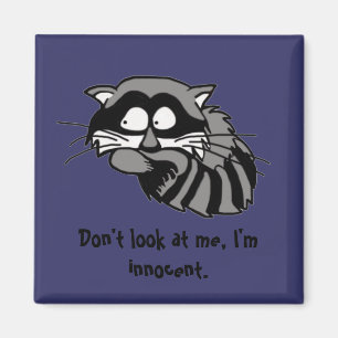 Raccoon Magnet
