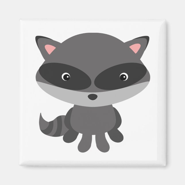 Raccoon Magnet (Framsidan)