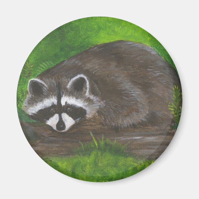 Raccoon Magnet (Framsidan)