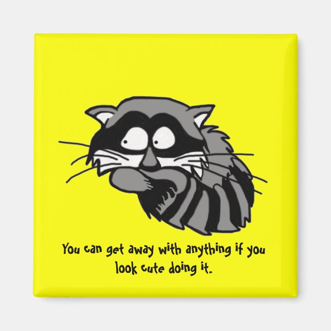 Raccoon Magnet (Framsidan)