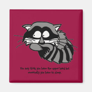 Raccoon Magnet