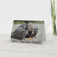 Raccoon Mamma & Spädbarn