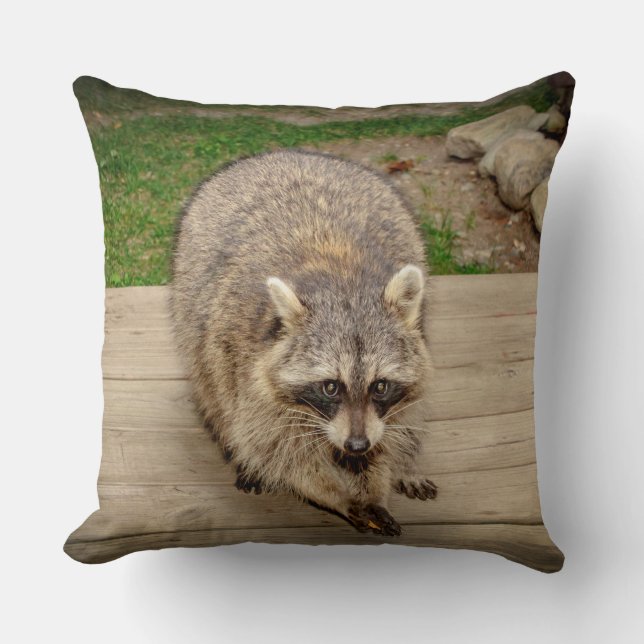 Raccoon med chip kudde (Framsida)